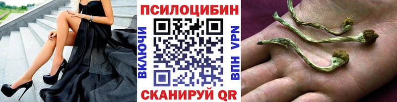 Галлюциногенные грибы ЛСД  купить  сайты  Красноярск 