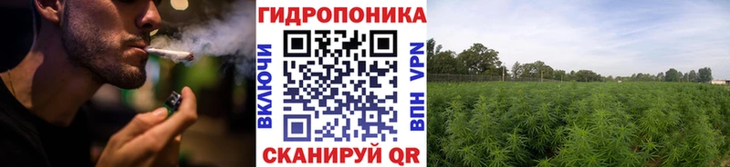 Каннабис сатива  Красноярск 